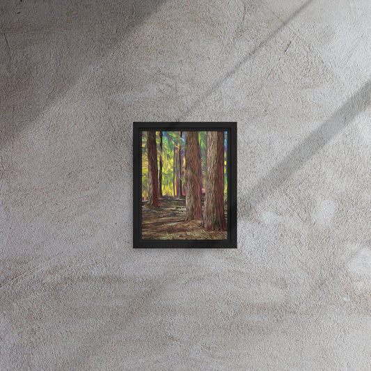 Pine Valley Hike, Utah - Framed Canvas Print