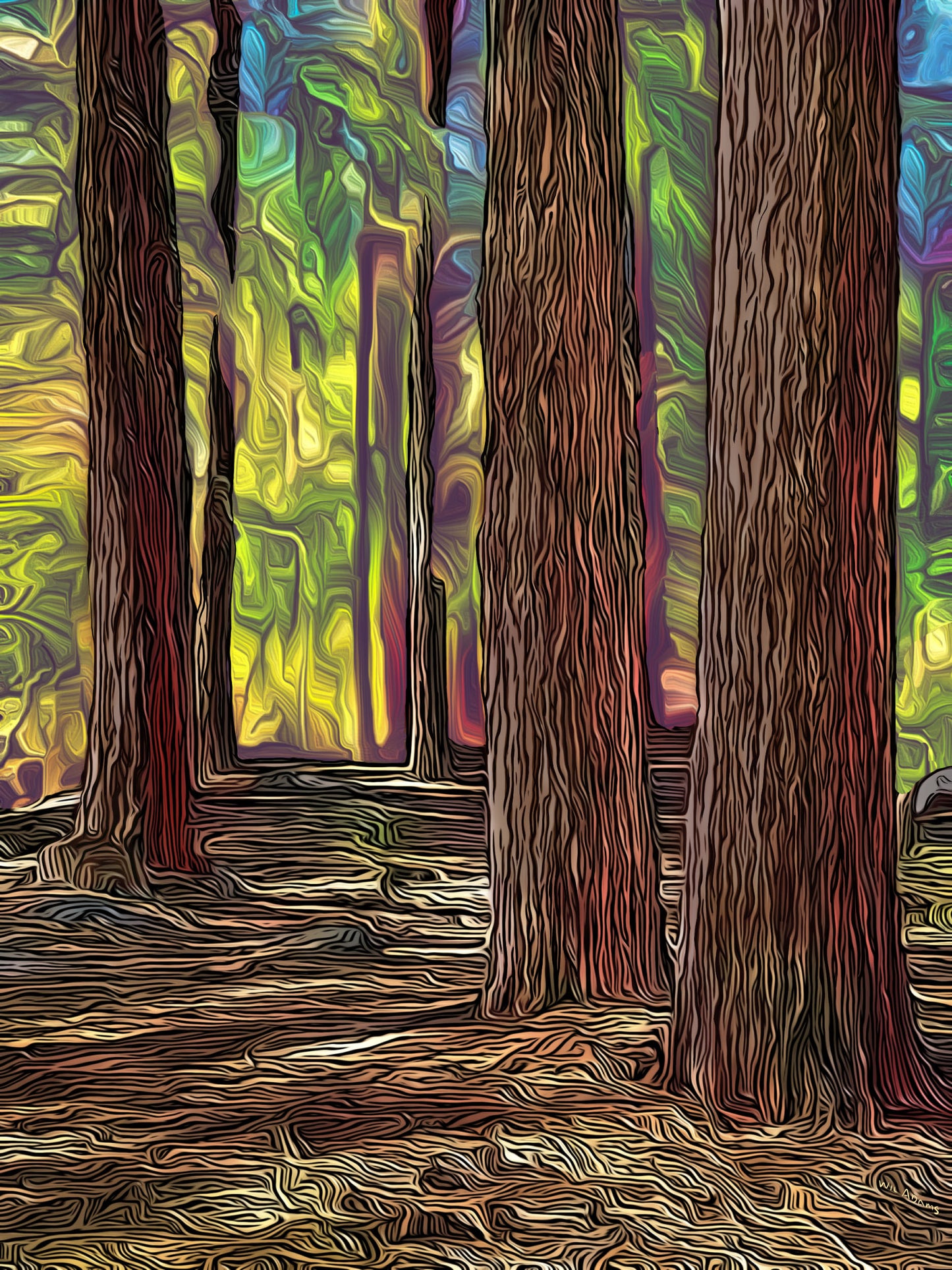 Pine Valley Hike – Scenic Utah Pine Forest Photography Print