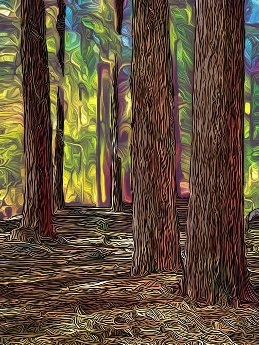 Pine Valley Hike – Scenic Utah Pine Forest Photography Print